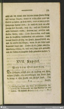 XVII. Kapitel. Von dem Oelgarten