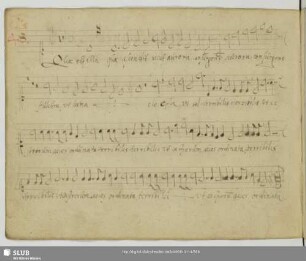 Gallus, Iacobus: Quae est ista quae ascendit