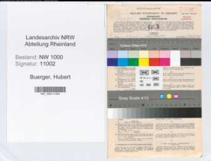 Entnazifizierung Hubert Buerger, geb. 29.07.1906 (Bankangest.)