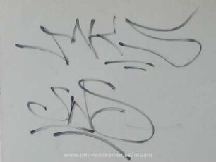 MKS SWS