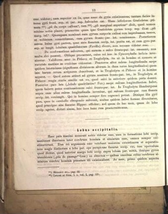 Lobus occipitalis.