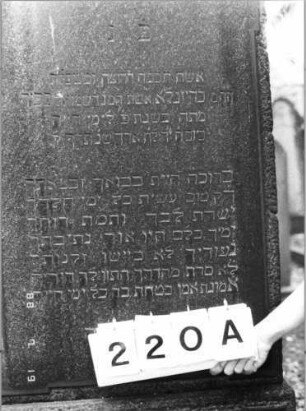 Grabstein 220 (Index: 100094421) Material: Granit Zustand: gut Maße HxBxT: 155x64x32 cm Beschreibung: Stele, getreppter Sockel, obeliskenartiger abgeflachter Abschluß, Schriftfeld Besonderheit: 7-zeiliger Reim: Grabstein 220A