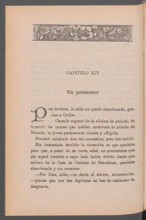 Capítulo XIV - Un protector