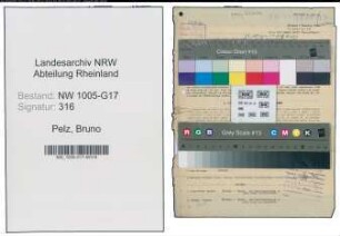 Entnazifizierung Bruno Pelz , geb. 25.05.1901 (Kaufmann)