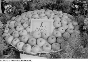 1. Preis (Äpfel)