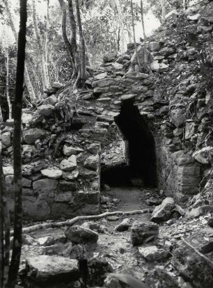 Yukatan, Coba: Der Urwald ist der schlimmste Feind der alten Maya Stätten. Trümmer im Dschungel nahe der Pyramide La Iglesia