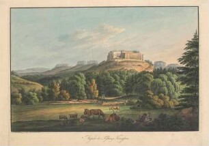 Der Königstein mit der Festung in der Sächsischen Schweiz von Nordwesten, mit Kuhherde und Hirten im Vordergrund