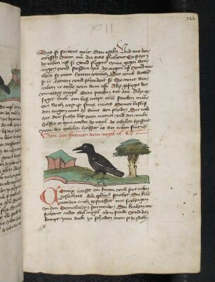 Vogel: Krähe; (Teil III B: Von den Vögeln)