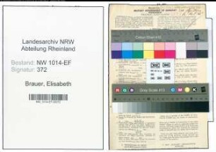 Entnazifizierung Elisabeth Brauer , geb. 23.05.1887 (Lehrerin)