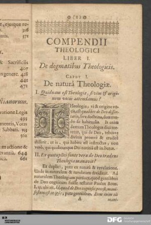Liber I. De dogmatibus Theologicis.