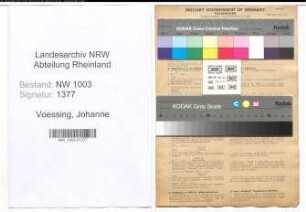 Entnazifizierung Johanne Voessing , geb. 17.01.1899 (Verkaeuferin)