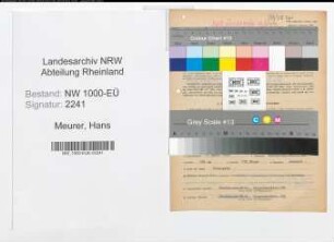 Entnazifizierung Hans Meurer, geb. 01.04.1905 (Verw.Inspektor)