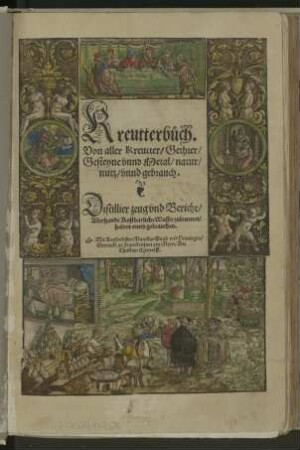Kreutterbuch : Von aller Kreutter/ Gethier/ Gesteyne vnnd Metal/ natur/ nutz/ vnnd gebrauch