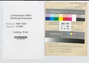 Entnazifizierung Ernst Liebing, geb. 27.08.1888 (Regierungsinspektor)