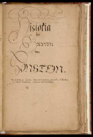 Historia der Grafen von Honstein