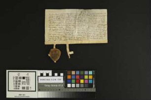 Gensingen: Verzicht Christians v. Dromersheim über den Hof zu Gensingen