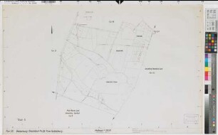 Riesenbeck (Hörstel), Zusammenlegung Riesenbeck, Bl. 5 Zuteilungskarte Riesenbeck Flur 20
