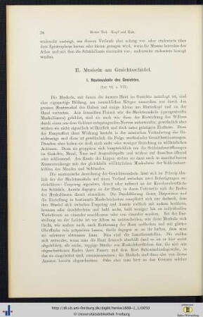 II. Muskeln am Gesichtsschädel.