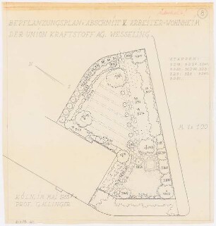 Gartenanlage Arbeiterwohnheim, Union Rheinische Braunkohlen Kraftstoff AG, Wesseling: Bepflanzungsplan, Abschnitt 5: Grundriss 1:100