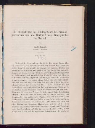 Die Entwicklung des Bindegewebes bei Siredon pisciformis und die Herkunft des Bindegewebes im Muskel