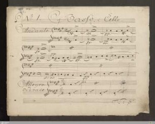 Violoncello und Kontrabass