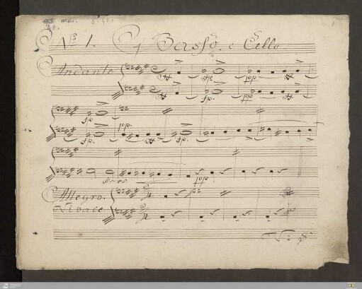 Violoncello und Kontrabass
