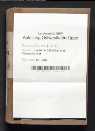 Salbuch des Amtes Blomberg von 1849, Bd. 3 (Duplikat)