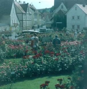 Steinfurth. Schaugarten einer Blumenschule