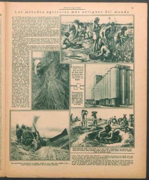 Los métodos agrícolas más antiguos del mundo