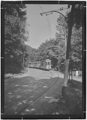 Kirnitzschtalbahn in der Kurve