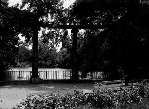 Stadtgarten - Schwanensee