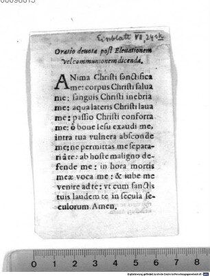 Oratio devota post Elevatonem vel communionem dicenda.