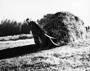 Bauer mit Heuschlitten
