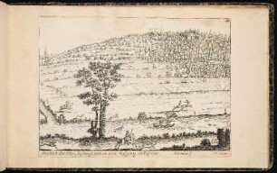 Prospect der Alten Vestung, wie es von Aufgang anzusehen. - Alte Veste, Zirndorf