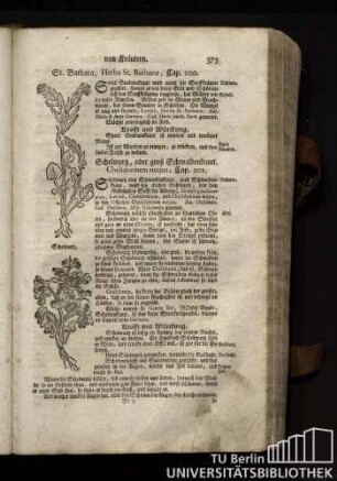 Cap. 200. St. Barbara, Herba St. Barbarae.