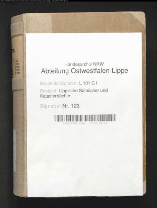 Salbuch der Vogtei Heiden von 1829, Bd. 1 (Duplikat)