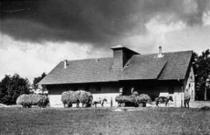Fotografie: Pferdeanspannung, Heuernte, Transport