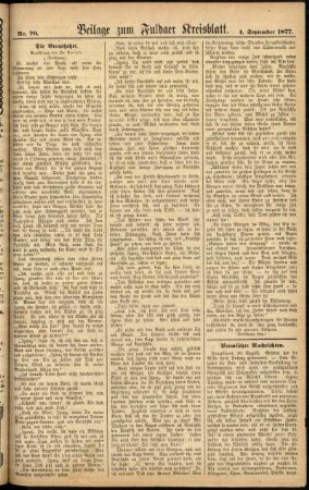 Zweite Ausgabe vom Samstag, den 01. September 1877.