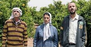 Lemon Tree