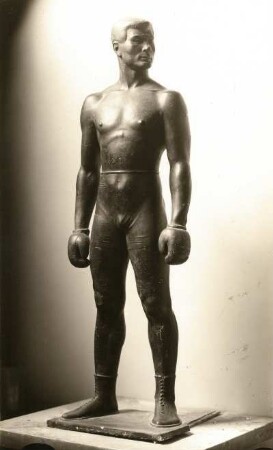 Boxer