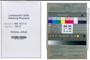 Entnazifizierung Alfred Wollmer , geb. 05.01.1896 (Kaufmaennischer Angestellter)