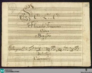 Sonatas - Mus. Hs. 71 : fl, b; e; DTB 16 e1