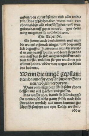 Wenn die iungen gepflantzten baume fur grosser hitz der Sonnen/ wöllen verdorren.