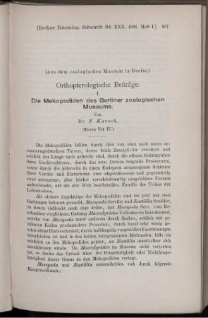 Die Mekopodiden des Berliner zoologischen Museums.