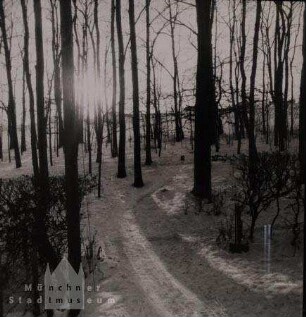 Waldweg im Winter