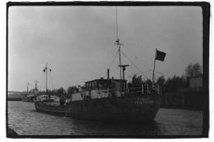 Tina F. (1961), F. Fiege, Hamburg