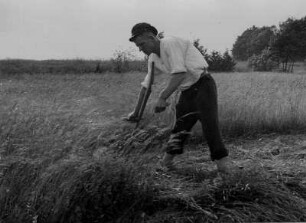 Mark Brandenburg. Ein junger Schnitter bei der Arbeit. Er mäht Gras