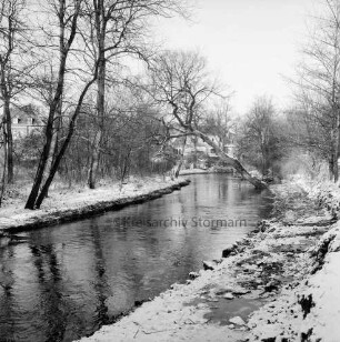 Beste: rechts und links Bäume des Kurparks: hinten Wohnhäuser an Kurparkallee / Salinenstraße: Winter