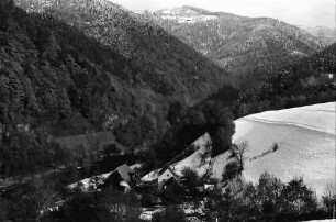 Buchenbach: Belaubtes und verschneites Höllental; mit Falkensteig und Nessellachen; von höher; rechts Schneefeld