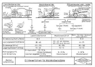 Ernteverfahren für Maiskolbensilage